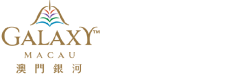 Galaxy logo