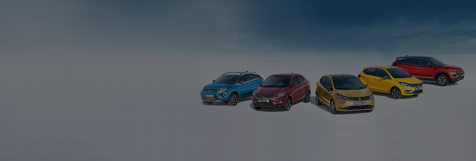 tata motor banner
