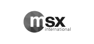 msx logo
