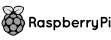 RaspberryPI logo