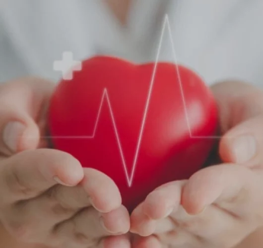Hands gently cradle a red heart shape with a superimposed heartbeat line and medical cross symbol, conveying care, health, and compassion.